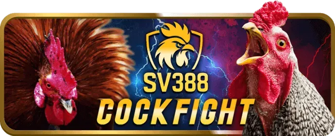 Cách tối đa hóa ưu đãi bet89